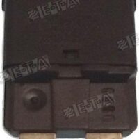 FUSIBLE THERMIQUE 20A