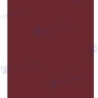 CHAUSSETTE F4 BORDEAUX - 220X1020 MM