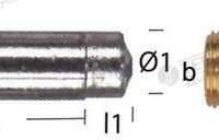 ANODE LOMBARDINI D15MM